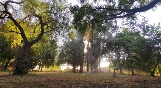 Коттедж Finca El Naranjo