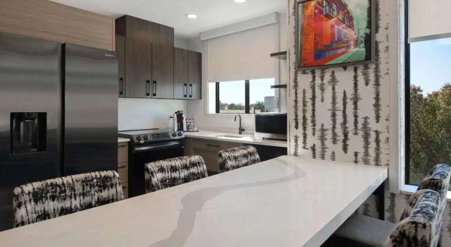 Двухместный люкс Premium c 1 комнатой Home2 Suites by Hilton Anderson Downtown