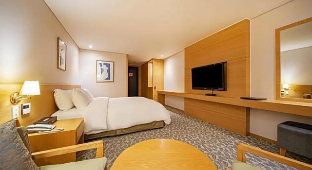 Двухместный номер Standard Hotel Biz Inn