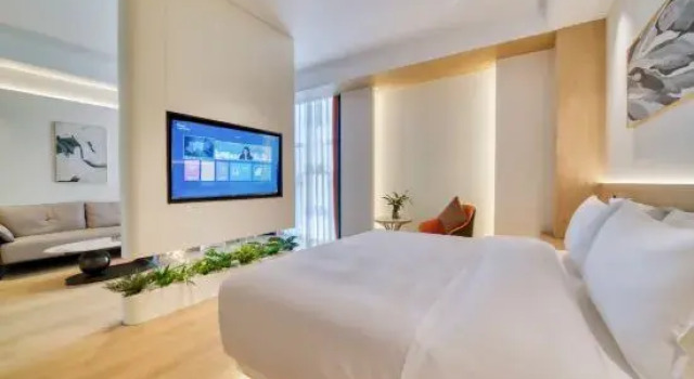 Люкс Luxury Pujiang Weisi Li Hotel