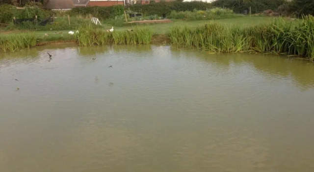 Martleaves Farm, Boek Boerderijverblijf Wyke Regis 
