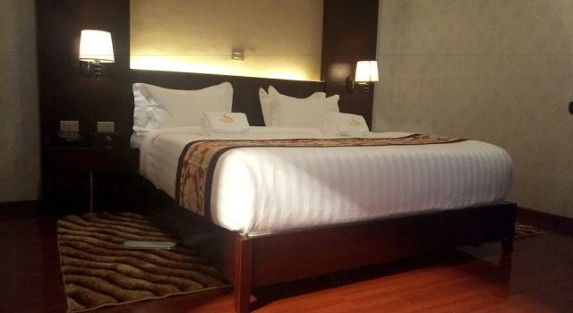 Şehir manzaralı Standart çift kişilik oda Sherar Addis Hotel