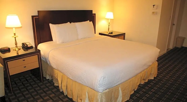 Двухместный номер Deluxe Bedford Plaza Hotel - Boston
