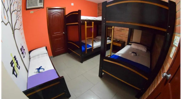 Номер Economy Hotel Olympus