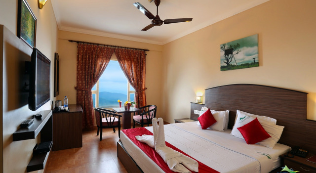 Номер Standard с красивым видом из окна Misty Mountain Resort