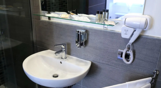 Номер Deluxe Mirko Luxury Inn