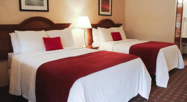 Deluxe huone The Pineola