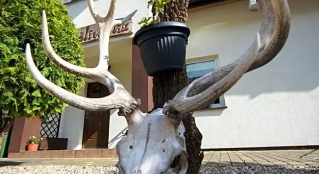 Willa Mysliwska, Varaa Bed and Breakfast Krynica Morska 