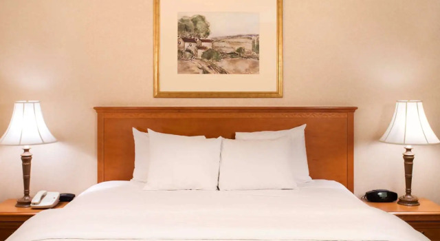 Номер Standard Hampton Inn & Suites Addison