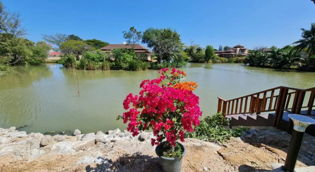 Люкс Deluxe Elegancy Resort Hua Hin