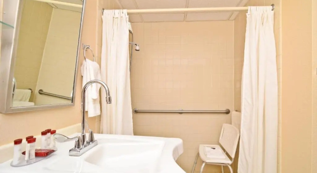 Номер Standard Pocono Resort & Conference Center - Pocono Mountains