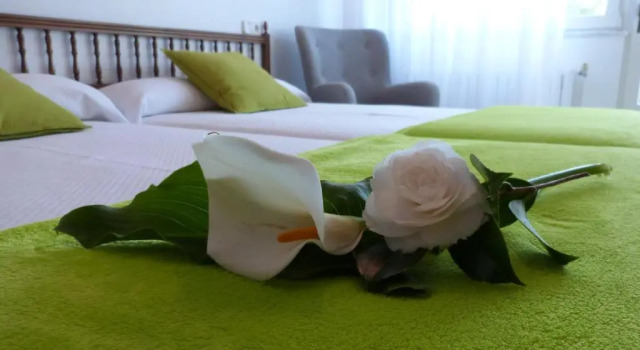 Двухместный номер Standard Hostal Pereiriña