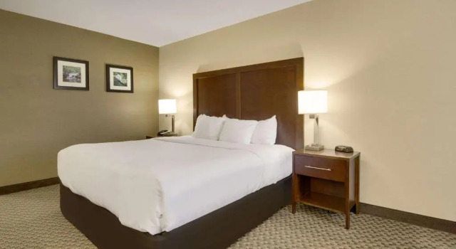 Номер Standard Comfort Inn Airport