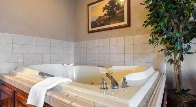 Suite Quality Inn