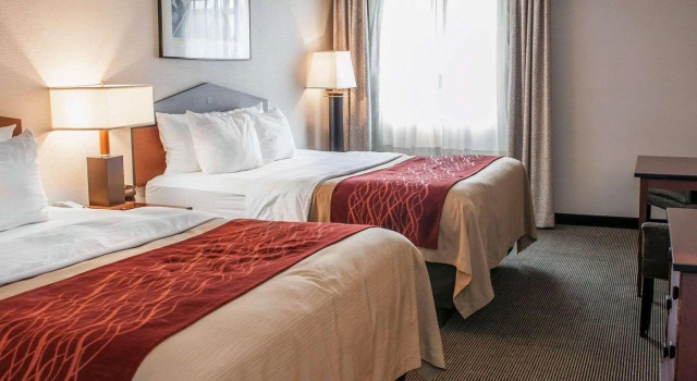 Четырёхместный номер Standard Comfort Inn Indianapolis South I-65