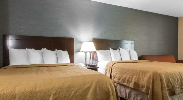 Одноместный номер Standard Quality Inn & Suites Danbury near University