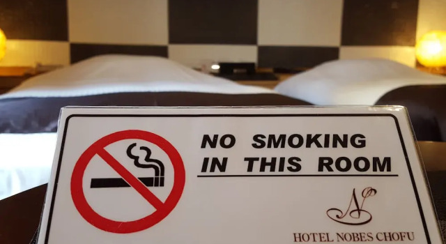 Двухместный номер Standard Hotel Nobes Chofu