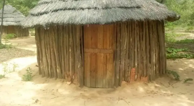 Dumisa African Home