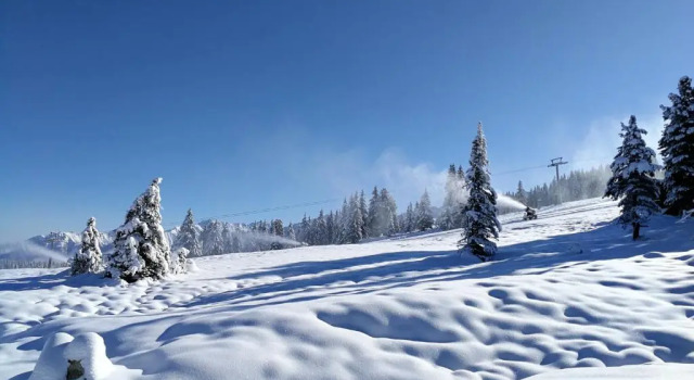 Коттедж с 5 комнатами Falkensteinalm Hochkrimml