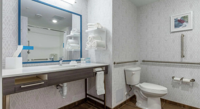 Четырёхместный номер Standard Hampton Inn Camden, SC