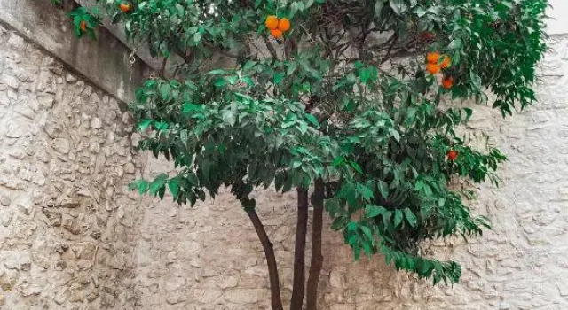 L ORANGER - Plein centre - 6 Personnes - Clim, Забронировать Отель Отели Calanques National Park с парковкой, Парковка