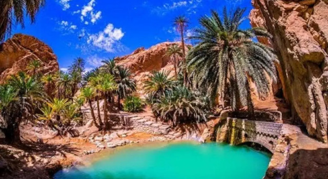 Вилла Villa Atlas Oasis