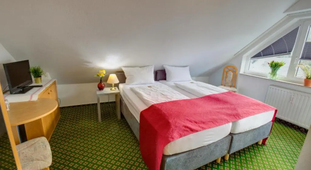 Одноместный номер Standard Hotel Leo Mühlhausen