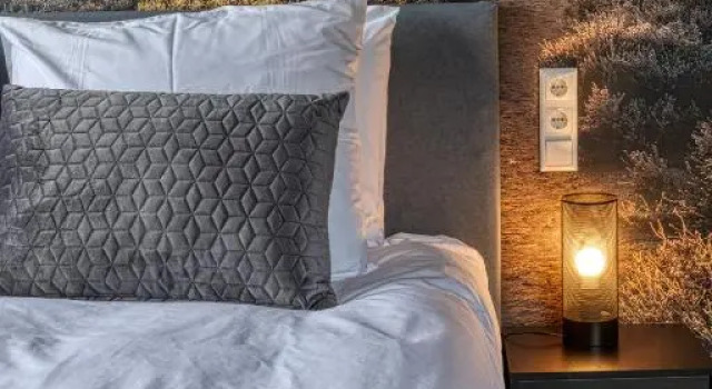Номер Deluxe B & B Wellness voor 2