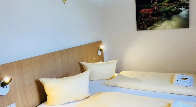Номер Standard Hotel - Restaurant Hirschen - Werneths Landgasthof beim Europa- Park Rust