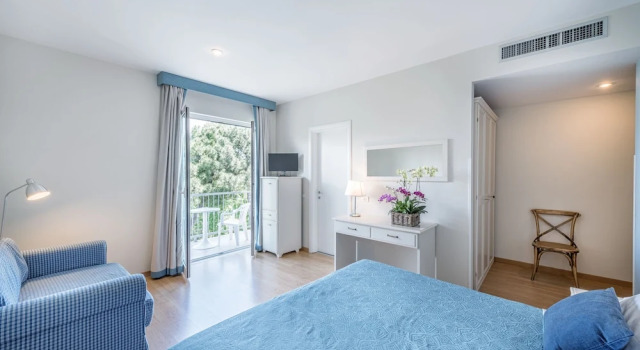 Двухместный номер Superior Hotel Andreaneri
