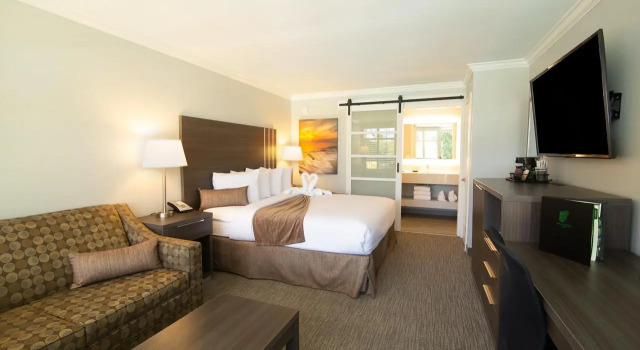 Двухместный номер Standard Palm Garden Hotel