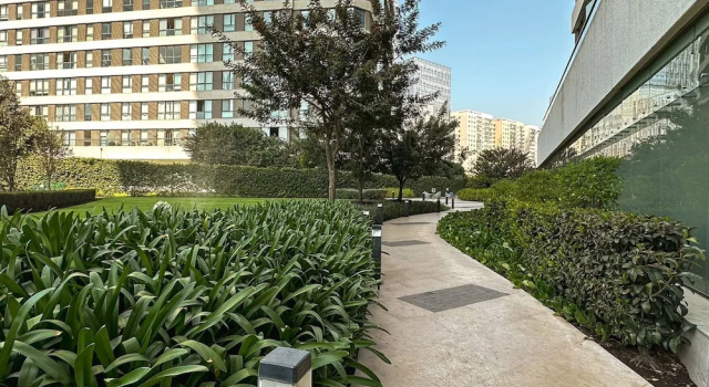 Be Grand Alto Polanco, Забронировать Апартаменты/квартира Мехико Мексико, рядом с Поланко