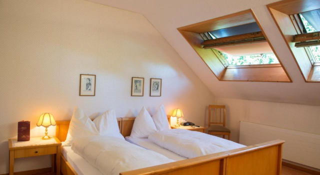 Номер Economy Romantik Hotel & Restaurant Sternen