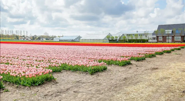 Бунгало Bungalow in Noordwijk near Beaches