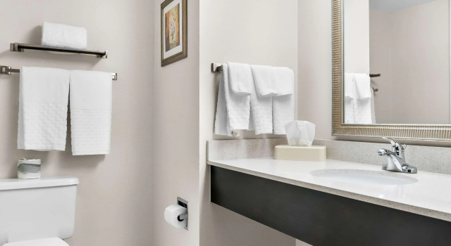 Четырёхместный номер Standard Best Western Okemos/East Lansing Hotel & Suites