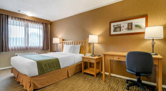 Двухместный номер Deluxe Econo Lodge Inn & Suites