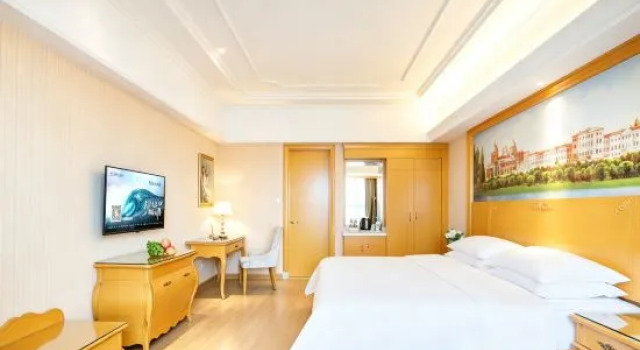 Люкс Vienna Hotel