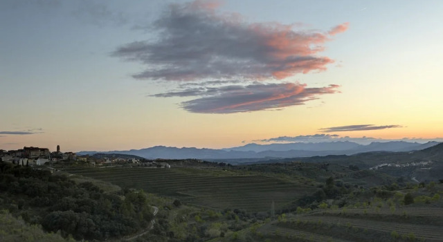 Номер Standard Trossos del Priorat
