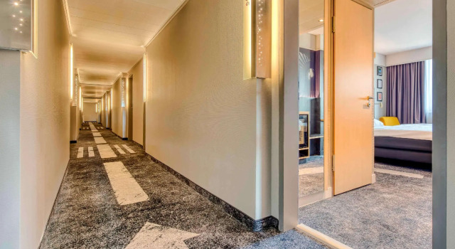 Двухместный номер Superior Mercure Neu-Isenburg
