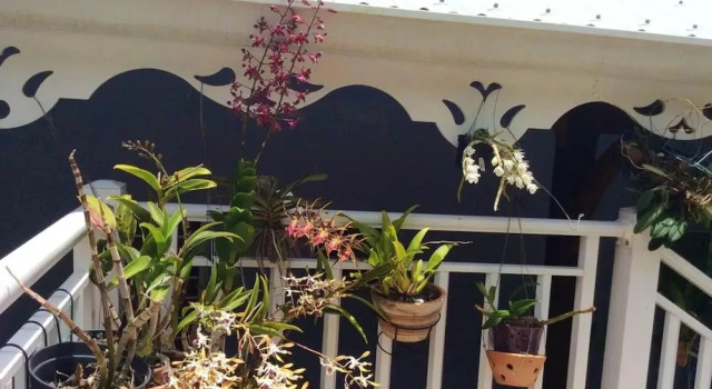 Property With 2 Bedrooms in Deshaies, With Wonderful sea View, Furnished Terrace and Wifi - 3 km From the Beach