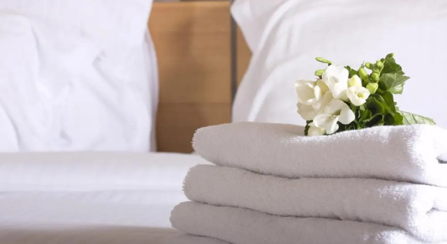 Номер Comfort Plaza Hotel Winterthur