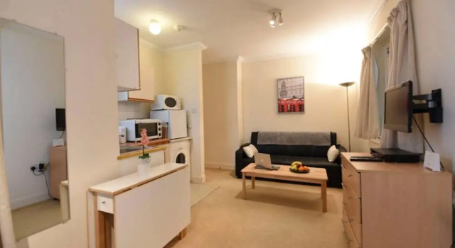 Cute and Functional Studio Flat in Paddington