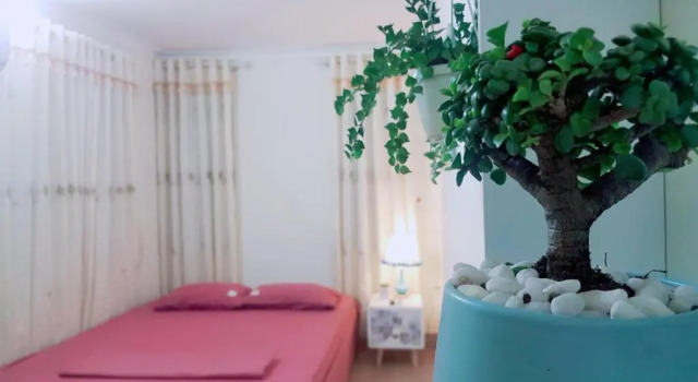 Номер Deluxe VanCao Green Homestay