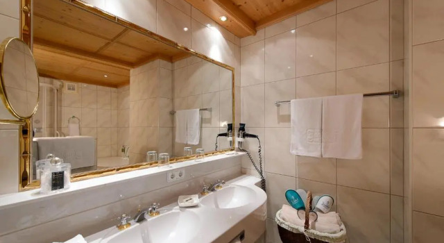 Одноместный номер Standard Relais&Châteaux Spa-Hotel Jagdhof