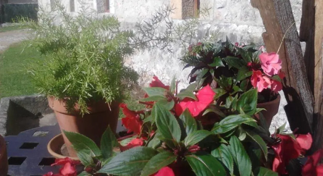 La Posada de María, Buchen Sie Hotel Villanueva de la Peña 