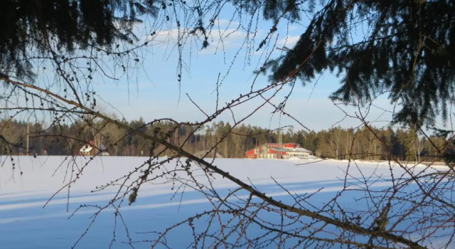 Коттедж Ferienhaus Grafenhausen