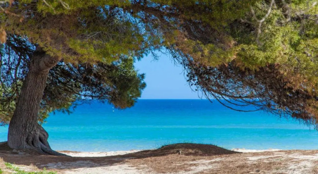 Villa Standard Formentera 2