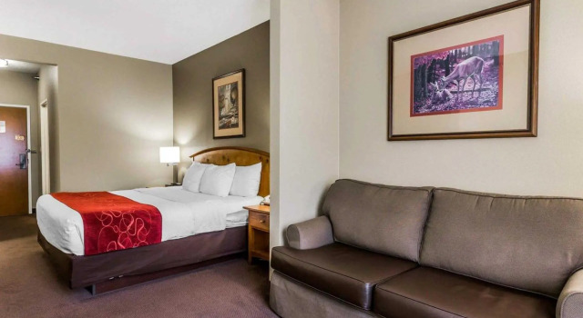 Номер Standard Comfort Suites Boone - University Area