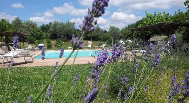Номер Standard Agriturismo La Torriola