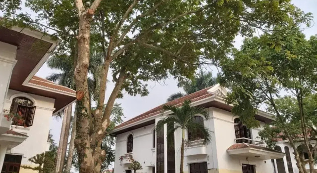 Van Xuan Royal Hotel